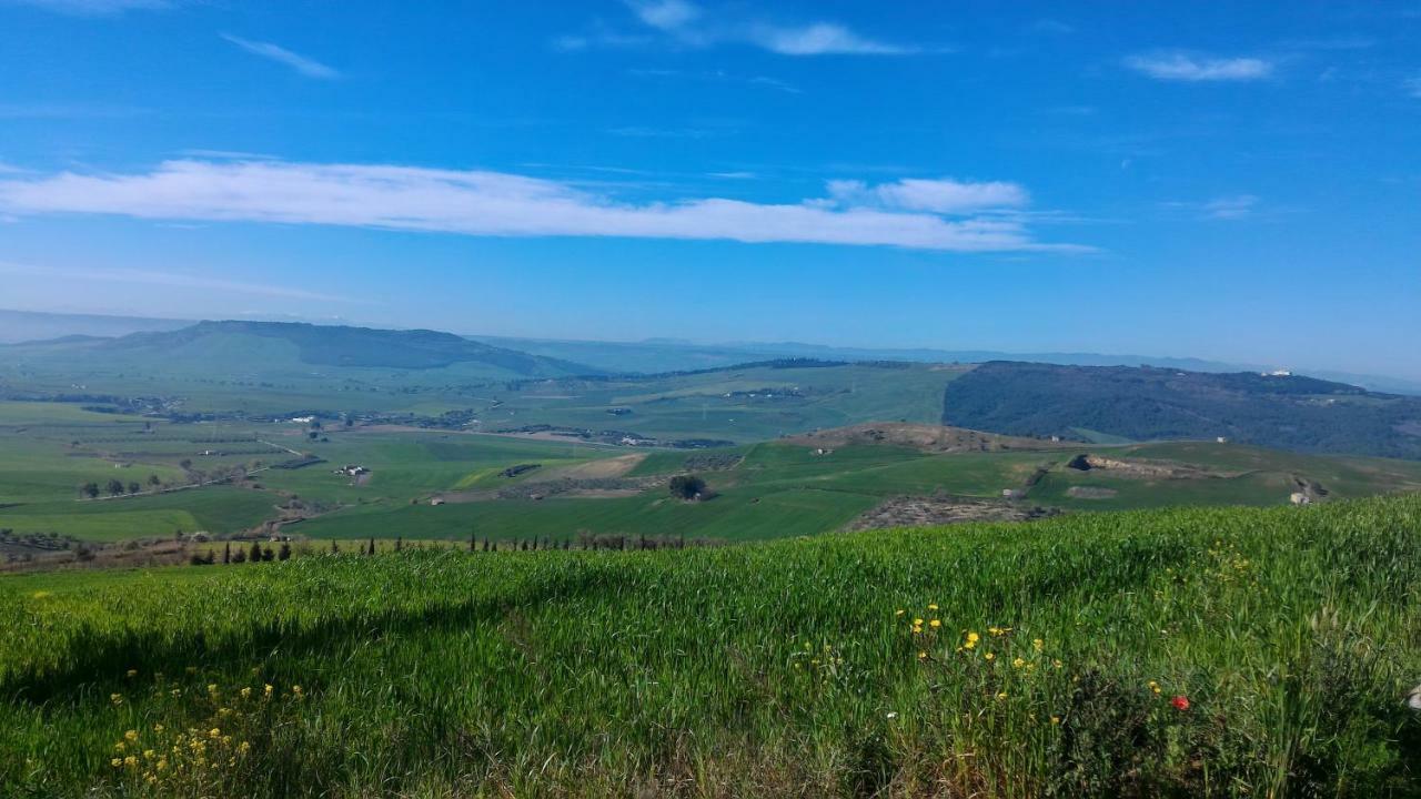 Masseria La Fiorita 马泰拉 外观 照片