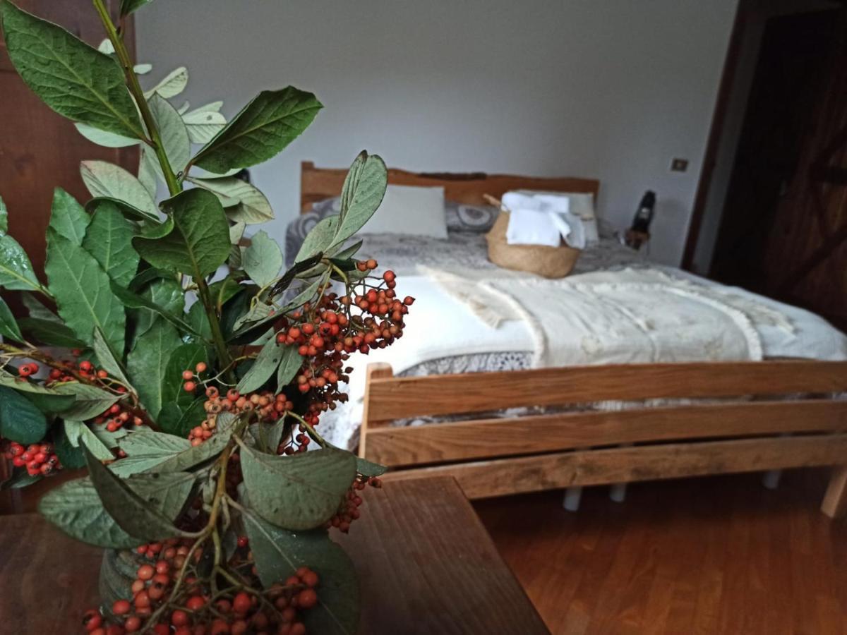 Masseria La Fiorita 马泰拉 外观 照片